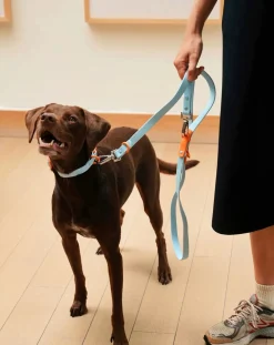 Approved by Fritz Accessoires Animaux-Adjustable dog leash Bleu ciel