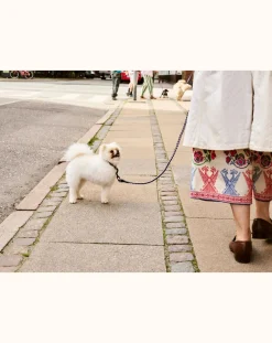 Hay Accessoires Animaux-Adjustable lead Lavande