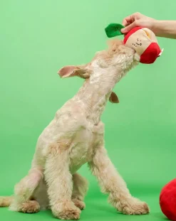 The Furry Folks Accessoires Animaux-Apple digging toy Rouge