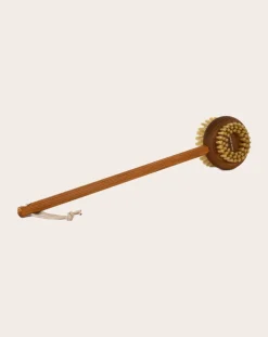 Andrée Jardin Soins Du Corps-Ash Wood Back Brush Naturel