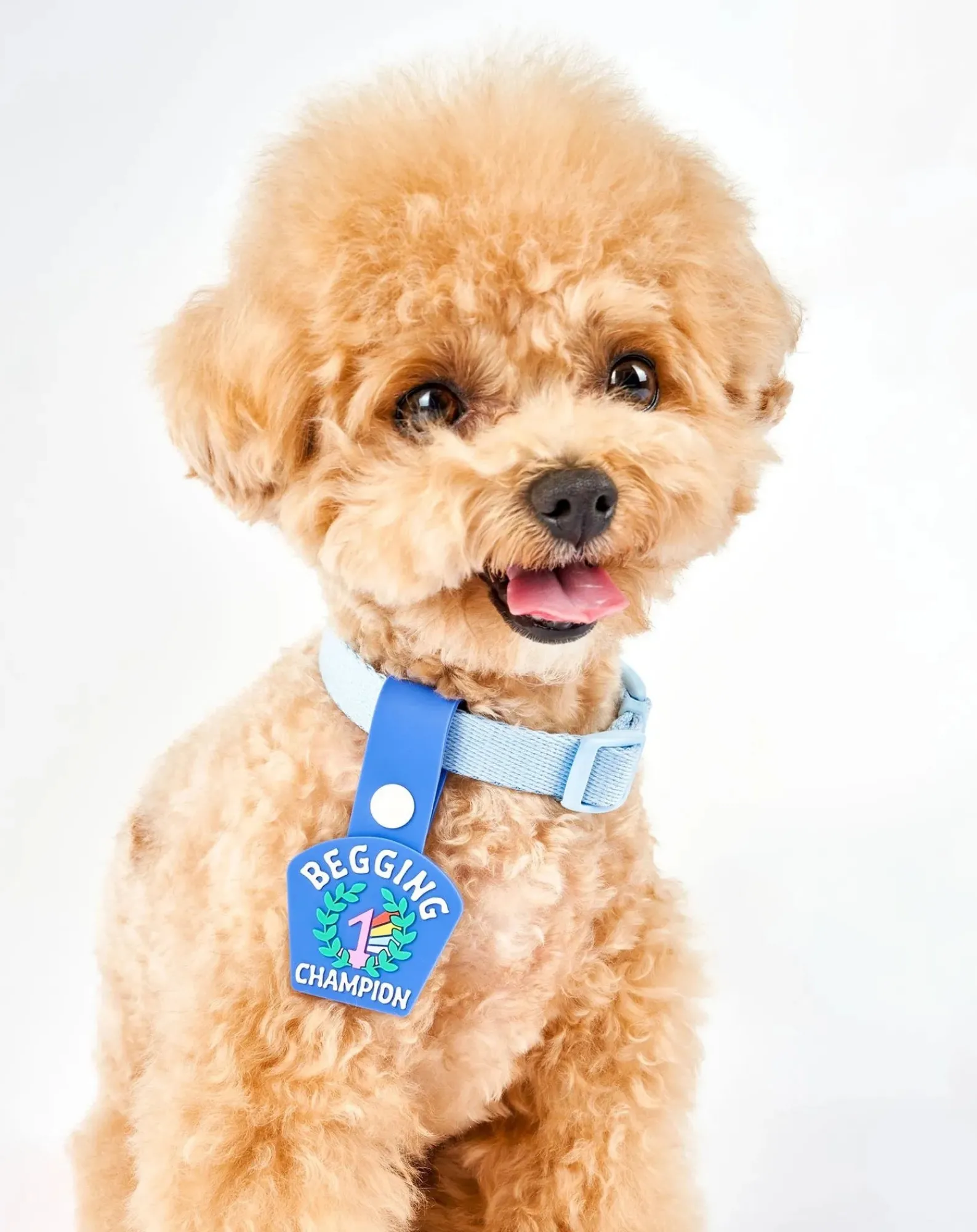 The Furry Folks Accessoires Animaux-Begging Champion medal Bleu