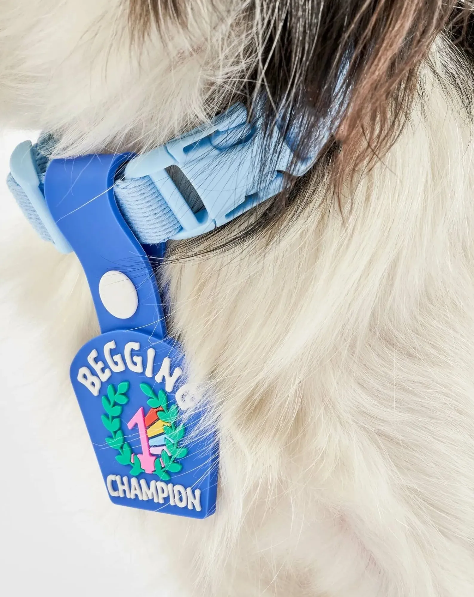 The Furry Folks Accessoires Animaux-Begging Champion medal Bleu