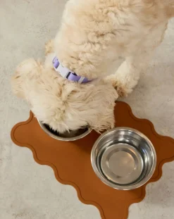 Approved by Fritz Accessoires Animaux-Bowl mat Chocolat
