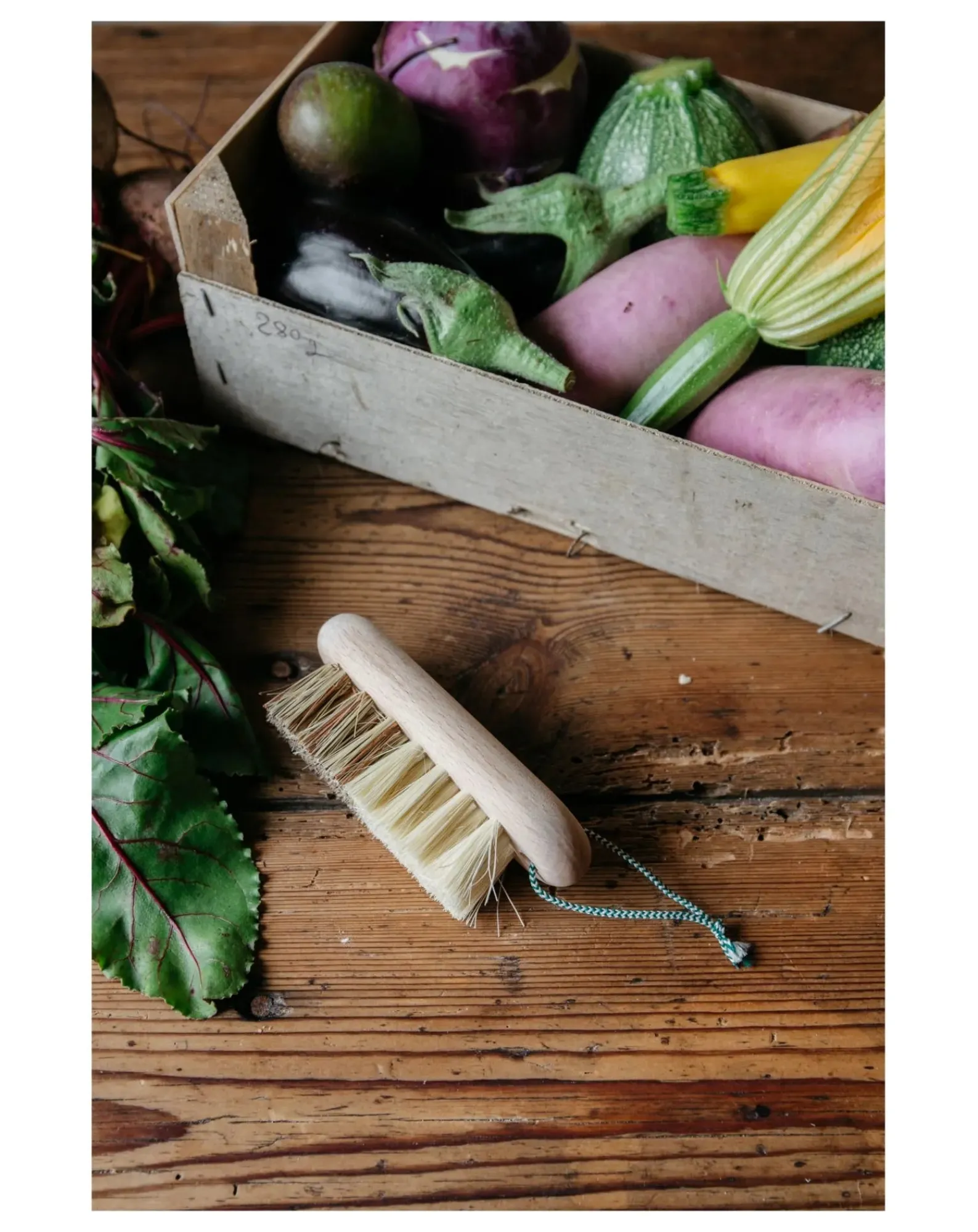 Andrée Jardin Nettoyage, Entretien-Brosse à légumes en hêtre Frêne