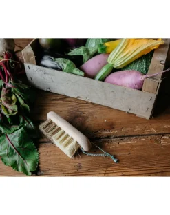 Andrée Jardin Nettoyage, Entretien-Brosse à légumes en hêtre Frêne