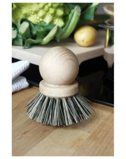 Andrée Jardin Nettoyage, Entretien-Brosse casserole Naturel