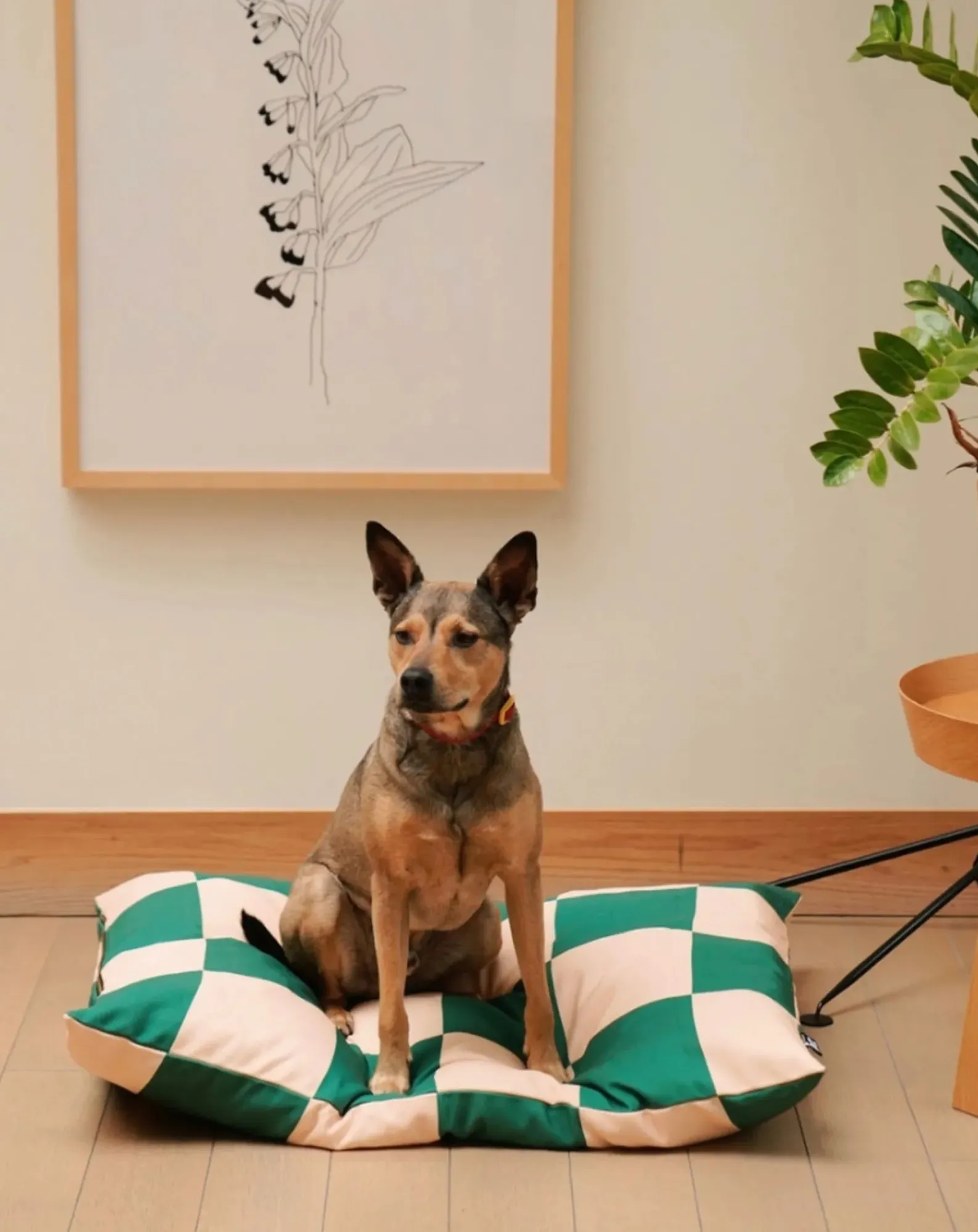 Approved by Fritz Accessoires Animaux-Checkered dog mattress Vert