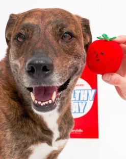 The Furry Folks Accessoires Animaux-Cherry Tomato digging toy Rouge tomate