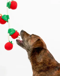 The Furry Folks Accessoires Animaux-Cherry Tomato digging toy Rouge tomate