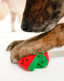 The Furry Folks Accessoires Animaux-Cherry Tomato digging toy Rouge tomate