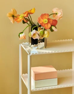 Hay Rangements-Colour storage box Craie