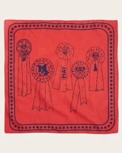 Hay Accessoires Animaux-Dog bandana Rouge