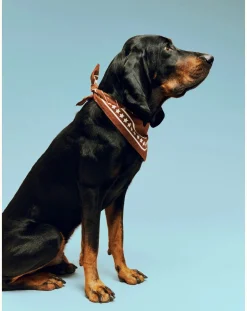 Hay Accessoires Animaux-Dog bandana Marron