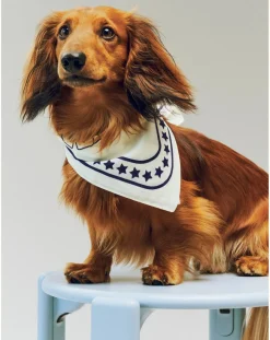 Hay Accessoires Animaux-Dog bandana Off-White
