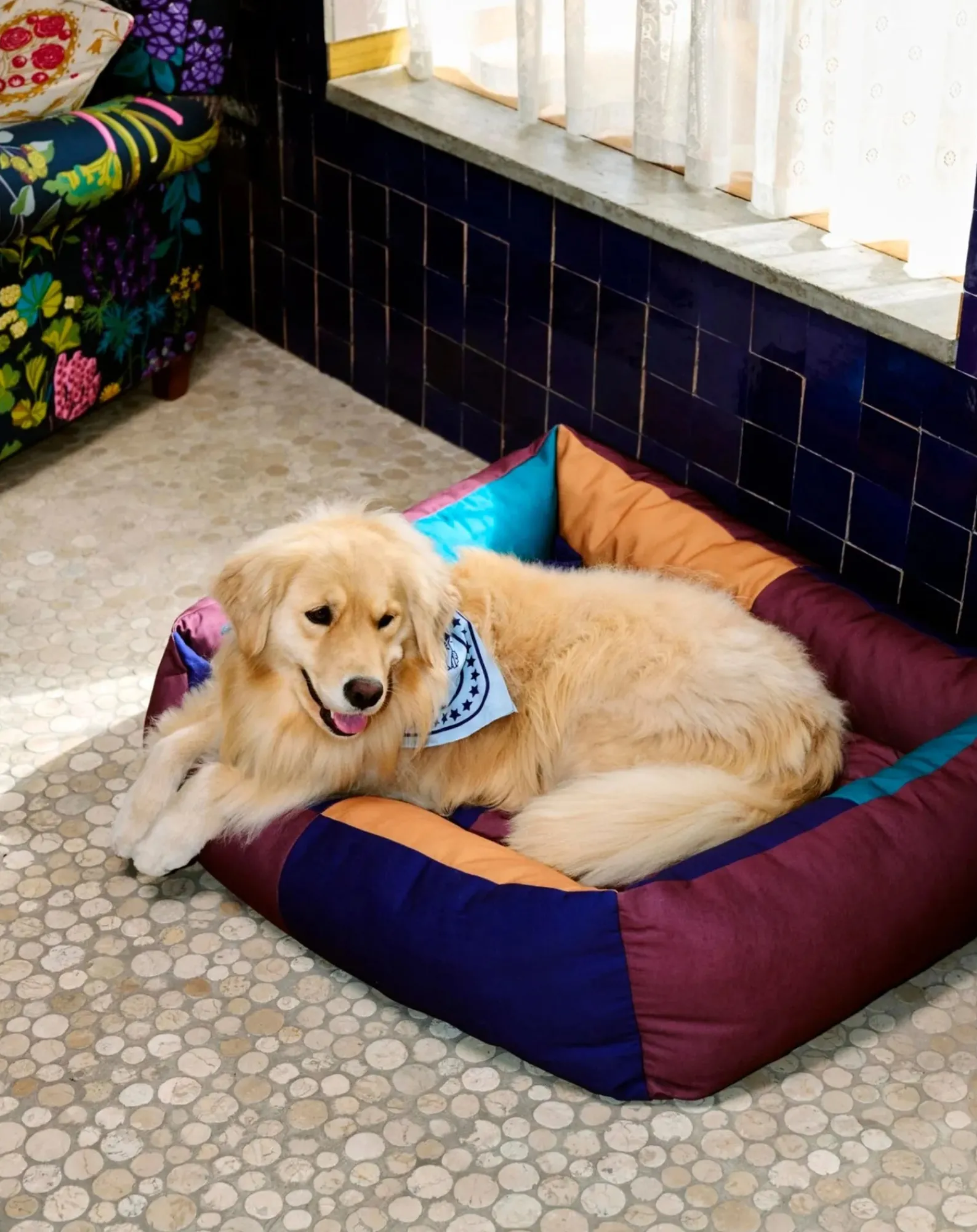Hay Accessoires Animaux-Dog bed Bordeaux