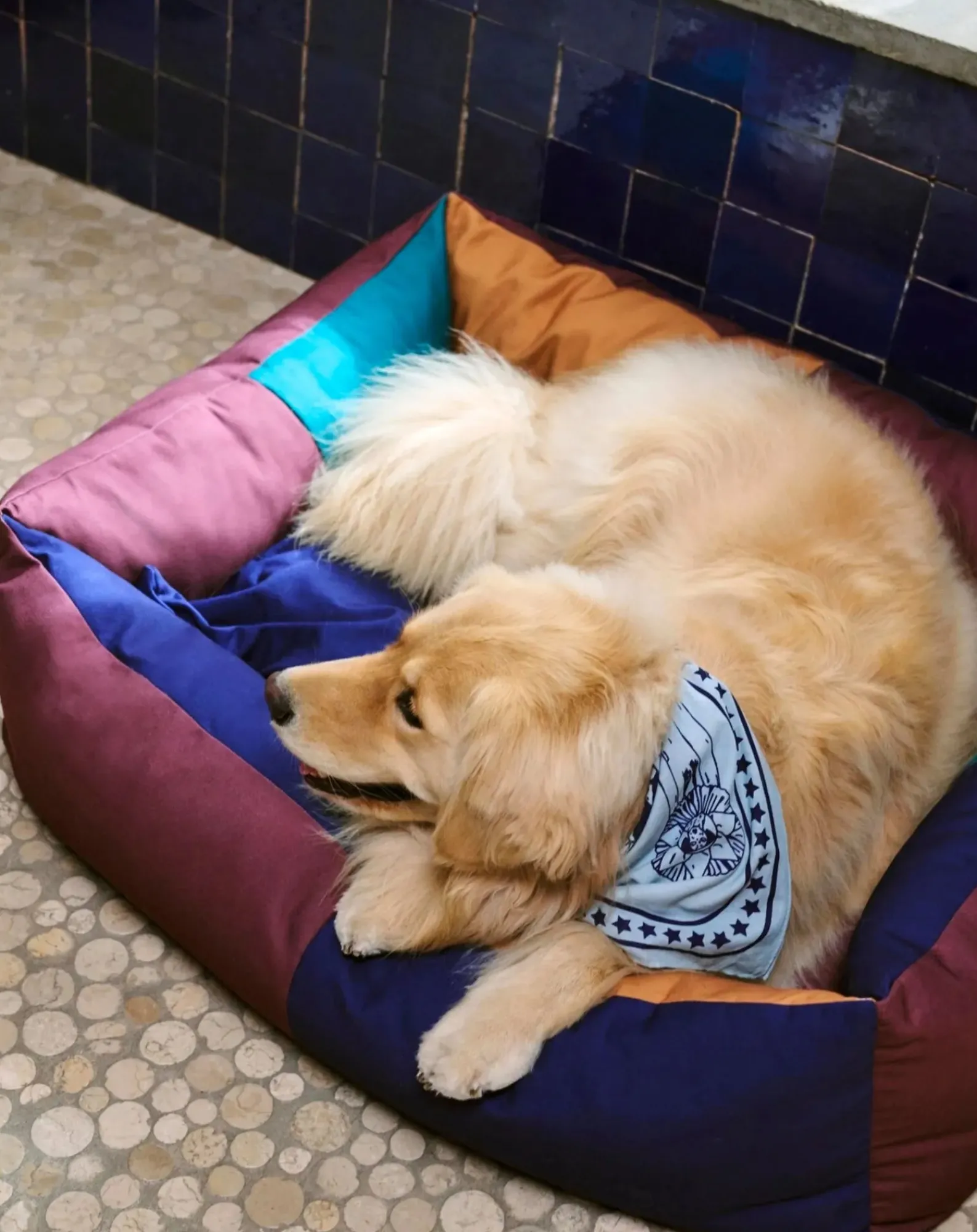 Hay Accessoires Animaux-Dog bed Bordeaux