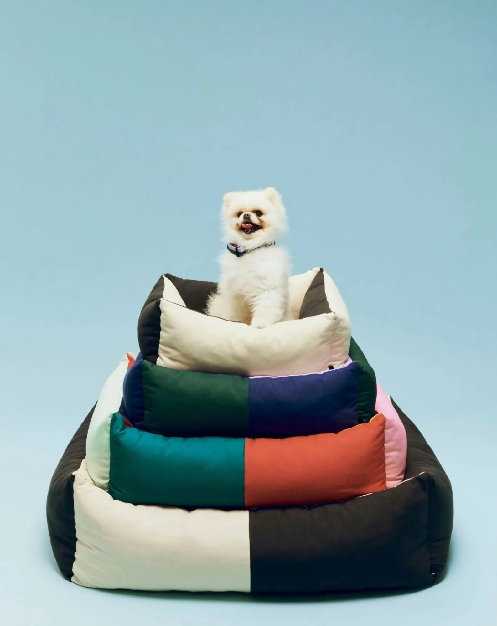 Hay Accessoires Animaux-Dog bed Vert