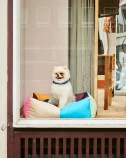 Hay Accessoires Animaux-Dog bed Multicolore