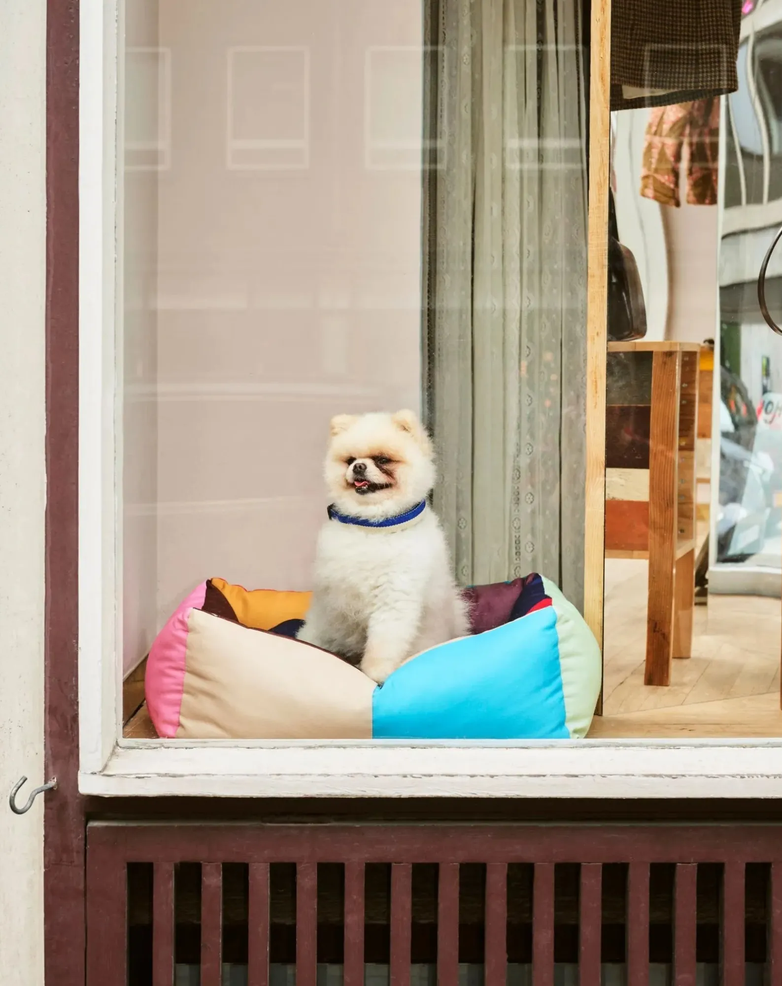 Hay Accessoires Animaux-Dog bed Multicolore