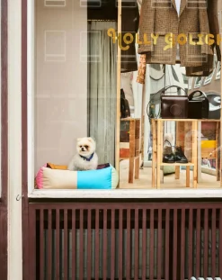 Hay Accessoires Animaux-Dog bed Multicolore