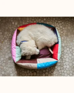 Hay Accessoires Animaux-Dog bed Multicolore