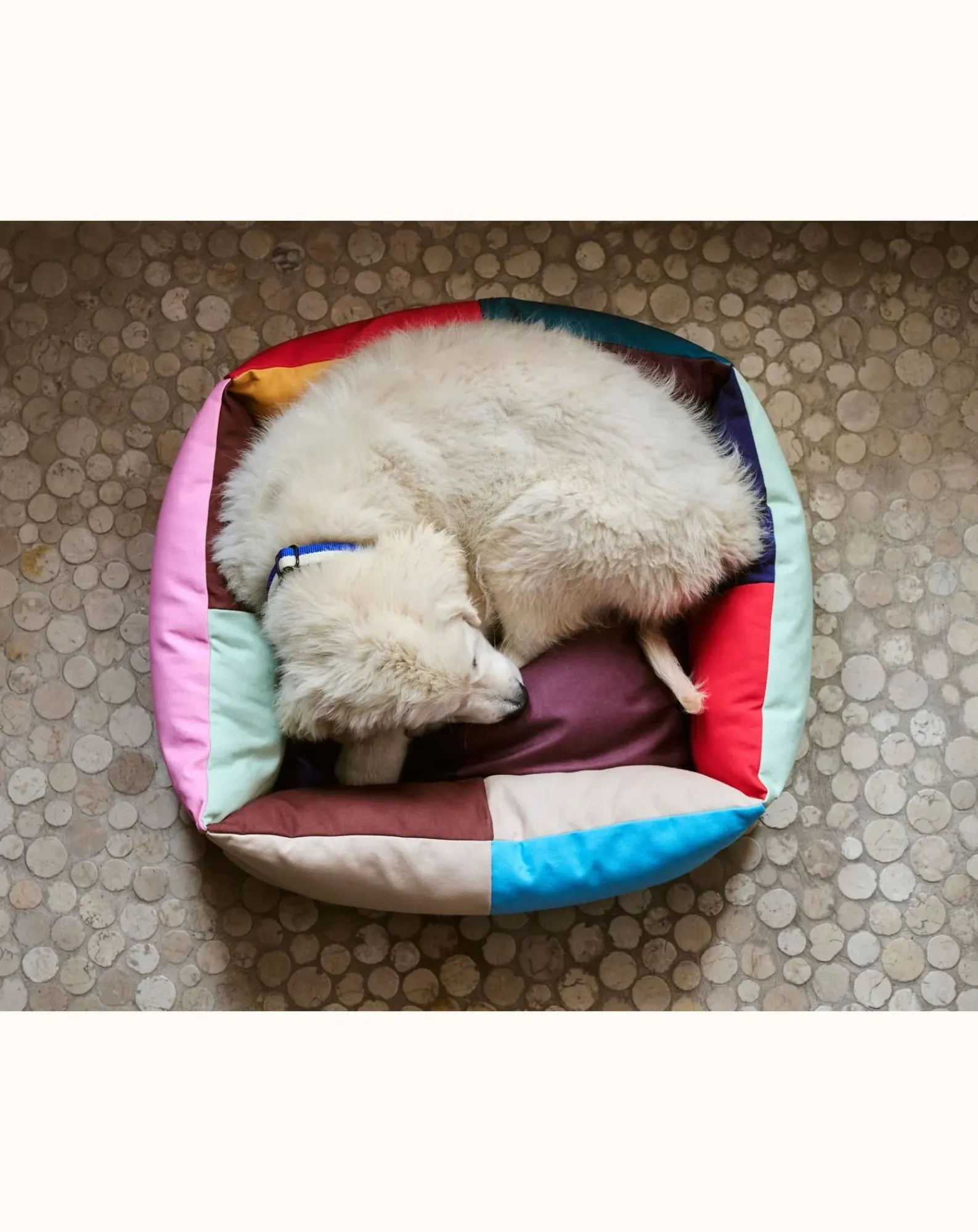 Hay Accessoires Animaux-Dog bed Multicolore