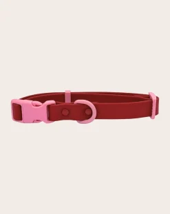 Approved by Fritz Accessoires Animaux-Dog collar Rouge cerise