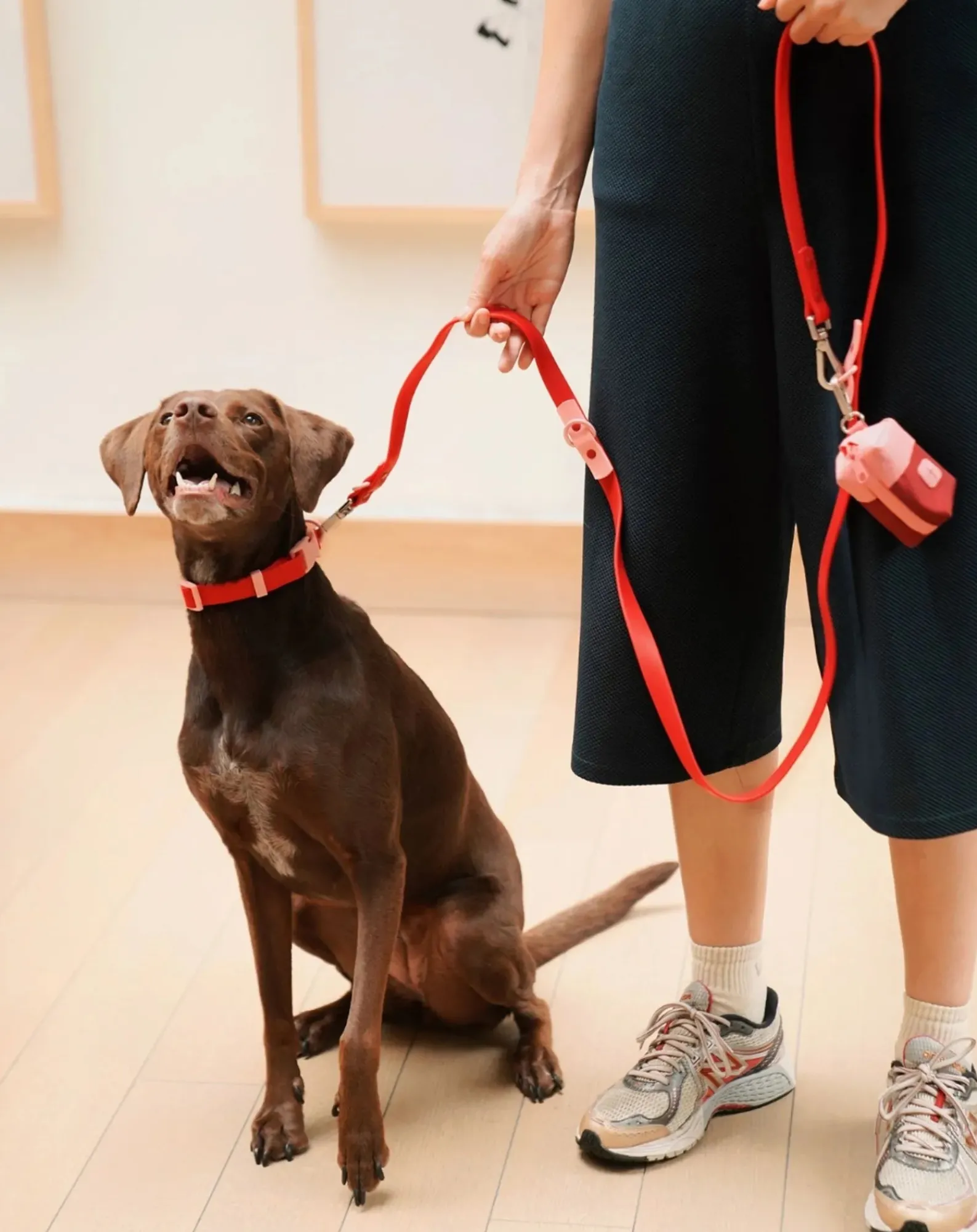 Approved by Fritz Accessoires Animaux-Dog collar Rouge cerise