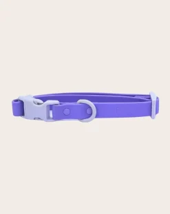 Approved by Fritz Accessoires Animaux-Dog collar Lilas