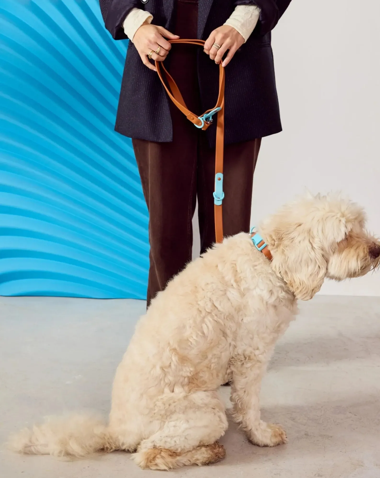 Approved by Fritz Accessoires Animaux-Dog collar Chocolat