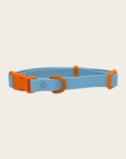 Approved by Fritz Accessoires Animaux-Dog collar Bleu ciel