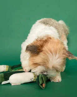 The Furry Folks Accessoires Animaux-Green Onion digging toy Vert