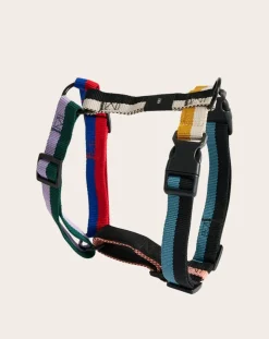 Hay Accessoires Animaux-Harnesses Multicolore