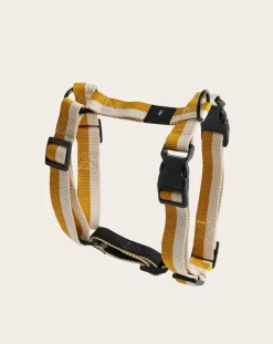 Hay Accessoires Animaux-Harnesses Off-White