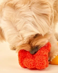 The Furry Folks Accessoires Animaux-Hooman Surfer digging toy Orange