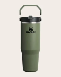 Stanley 1913 Gourdes, Lunch-Box-Insulated tumbler - IceFlow Flip Straw 2.0 Vert sapin