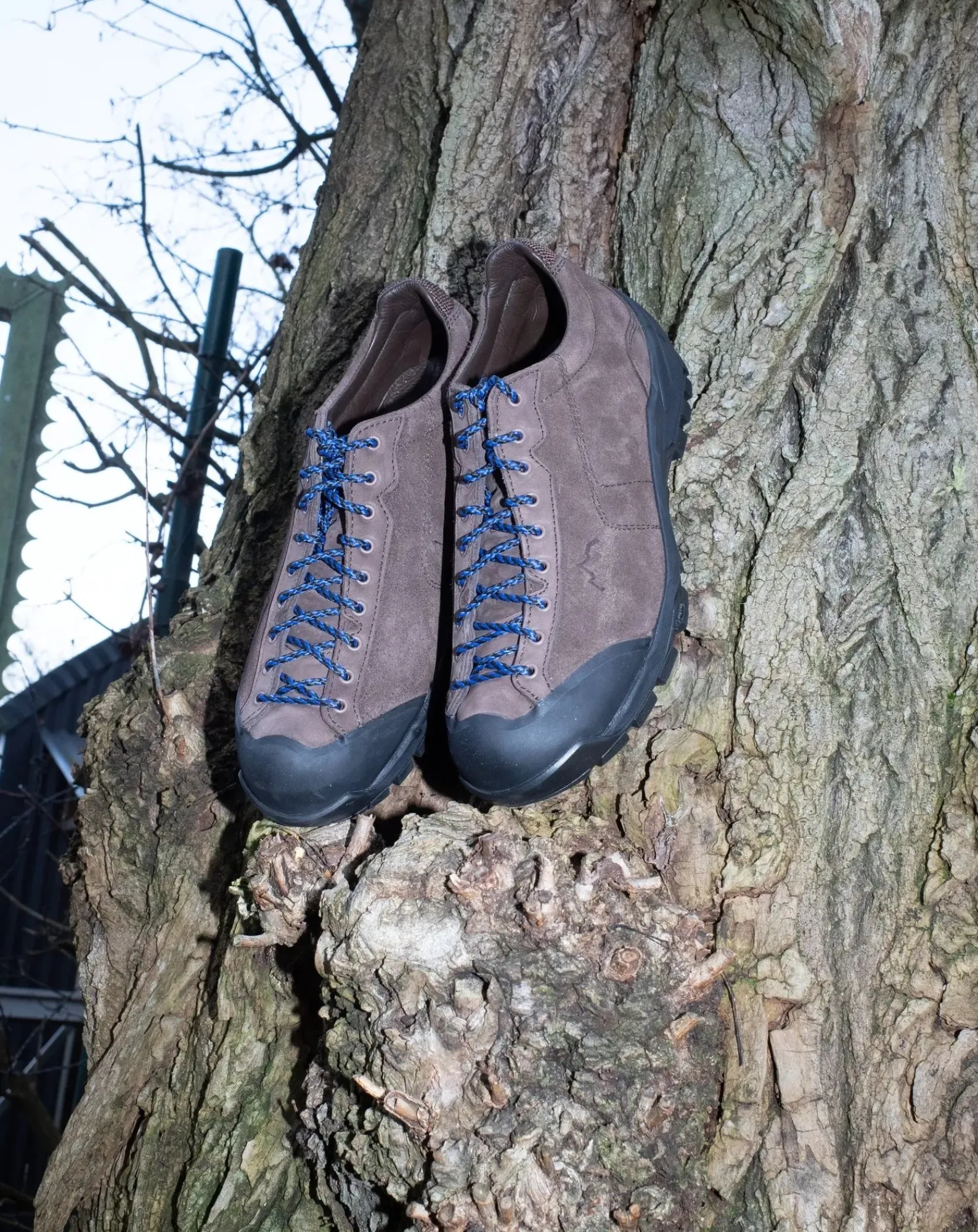 Diemme Boots-Movida leather shoes Marron
