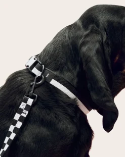 Hay Accessoires Animaux-Necklace Noir