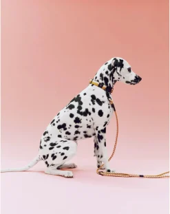 Hay Accessoires Animaux-Necklace Off-White