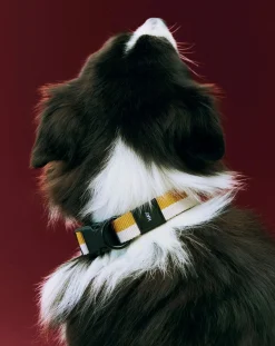 Hay Accessoires Animaux-Necklace Off-White