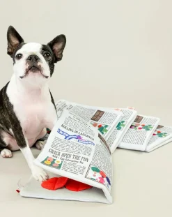 The Furry Folks Accessoires Animaux-Newspapper digging toy Multicolore