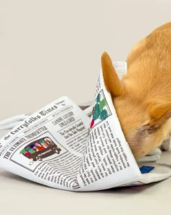 The Furry Folks Accessoires Animaux-Newspapper digging toy Multicolore