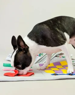 The Furry Folks Accessoires Animaux-Newspapper digging toy Multicolore