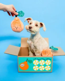 The Furry Folks Accessoires Animaux-digging toy Orange