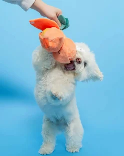 The Furry Folks Accessoires Animaux-digging toy Orange