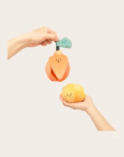 The Furry Folks Accessoires Animaux-digging toy Orange