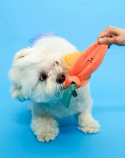 The Furry Folks Accessoires Animaux-digging toy Orange