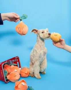 The Furry Folks Accessoires Animaux-digging toy Orange