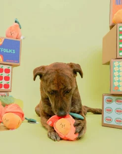 The Furry Folks Accessoires Animaux-digging toy Orange