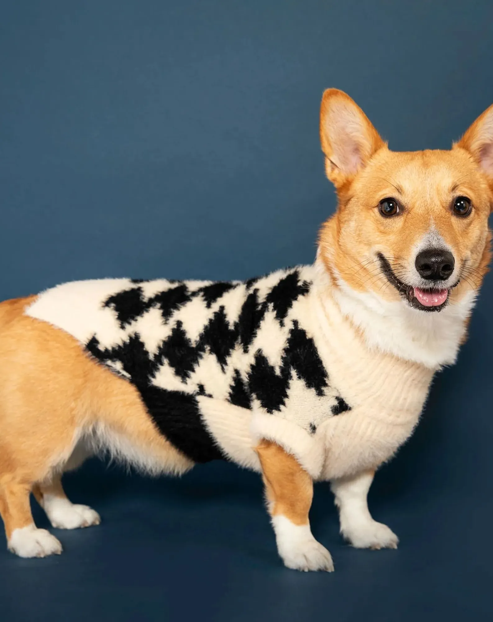 The Furry Folks Accessoires Animaux-Pixmond sweater Noir